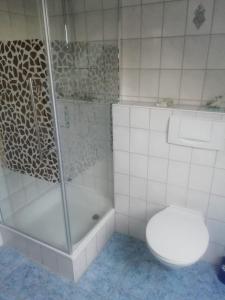 a white bathroom with a toilet and a shower at NEU! Ferienwohnung Nordfriesland in Achtrup