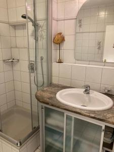 ein Bad mit einem Waschbecken und einer Dusche in der Unterkunft NEU! Ferienwohnung Hege 18 am Bodensee in Wasserburg