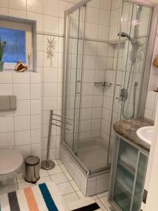 ein Bad mit einer Dusche, einem WC und einem Waschbecken in der Unterkunft NEU! Ferienwohnung Hege 18 am Bodensee in Wasserburg