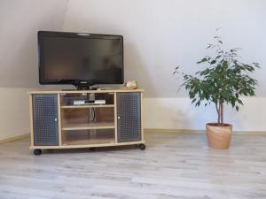 une télévision sur un support en bois avec une plante en pot dans l'établissement NEU! Ferienwohnung Nordlicht, à Großheide