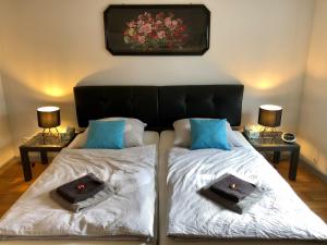 ein Schlafzimmer mit 2 Betten mit Kissen darauf in der Unterkunft NEU! Ferienhaus Schliephake in Schöningen