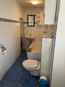 a bathroom with a toilet and a sink at Ferienhaus Altenhof Müritz in Altenhof
