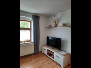 a living room with a flat screen tv and a window at NEU! Geschmackvolle FeWo Lengenfeld in Lengenfeld