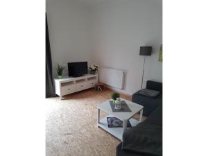a living room with a couch and a tv at NEU Apartment am Birkenfeld Allgäu Kaufbeuren in Steinholz