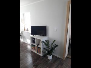 sala de estar con TV y maceta en NEU! Ferienwohnung Witaj en Panschwitz-Kuckau