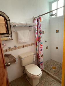 La salle de bains est pourvue d'une douche et de toilettes. dans l'établissement Boutique la Posada de Don Luis, à Bernal