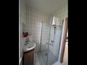 een badkamer met een douche, een wastafel en een toilet bij FeWo Milchstrasse Halle in Halle an der Saale