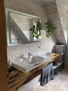 a bathroom with a sink and a mirror at NEU Ferienwohnung Hofmann in Husum