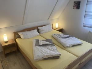 two twin beds in a room with two lamps at Ferienhaus Spitzbergen Nr. 105 in Bad Arolsen