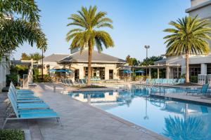 - une piscine avec des chaises bleues et des palmiers dans l'établissement SpringHill Suites by Marriott Orlando at FLAMINGO CROSSINGS Town Center-Western Entrance, à Orlando