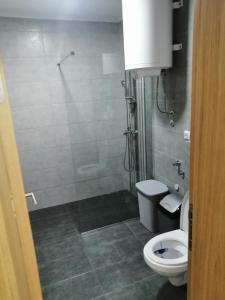 een kleine badkamer met een toilet en een douche bij APARTMAN STEP WAy in Vrbas