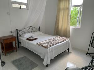 a bedroom with a white bed and a window at Palm Creek Villa in Mont Choisy