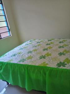 a bed with a green blanket on top of it at Casa Azul in Passos