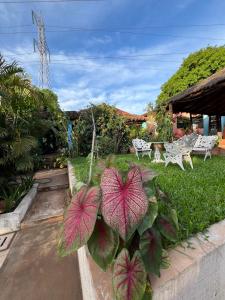 Vườn quanh Granja Relax
