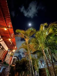 um grupo de palmeiras à noite com a lua em Pousada Jardim Magico em Natal