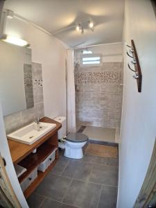 a bathroom with a toilet and a sink at L'Auxilliadora - Studio cozy en bord de mer in Sainte-Anne