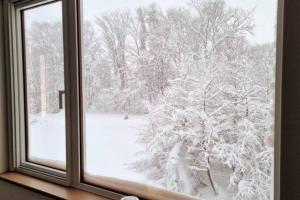 a window with a view of a snow covered tree at Furano Hidden Hill【FHH】 in Kami-furano