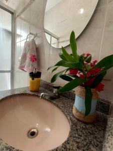 a bathroom sink with a potted plant and a mirror at Hostel 7 praias in Ubatuba