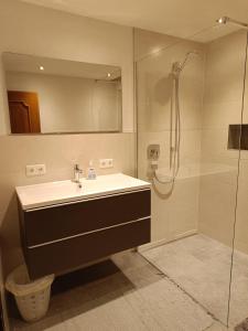 a bathroom with a sink and a shower at Kathrins Ferienwohnung in Breitenbach am Inn
