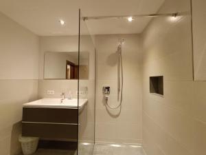 a bathroom with a shower and a sink at Kathrins Ferienwohnung in Breitenbach am Inn