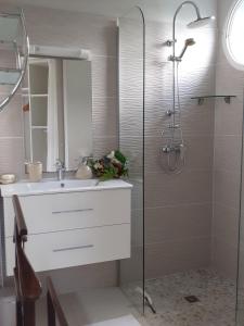 a bathroom with a sink and a shower at A L'Arche Bleue in Le Robert