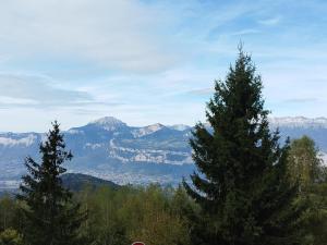 a view of a mountain range with two pine trees at Appartement Les Adrets-Prapoutel, 2 pièces, 5 personnes - FR-1-771-32 in Les Adrets