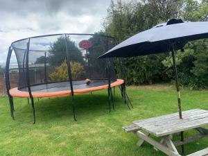 a dog is sitting on a swing set with an umbrella at RL Two-Bedroom Apartment in Palmerston North