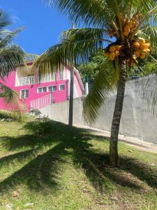 Rivière-PiloteHaut de villa Amour caché的粉色建筑前的一棵棕榈树