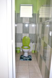 Rivière-PiloteHaut de villa Amour caché的带淋浴的绿色卫生间的浴室