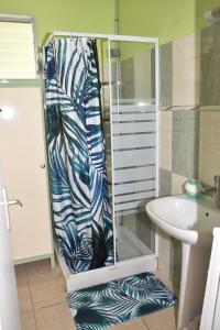 Rivière-PiloteHaut de villa Amour caché的浴室配有带水槽的浴帘 更多5张照片