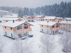 Gallery image of Chalet Arber in St Englmar with its own HotTube in Sankt Englmar +26 photos