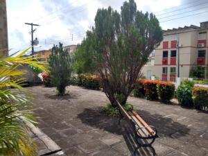 a bench with a tree in a courtyard at Apartamento no terreo in Natal