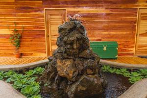 Aed väljaspool majutusasutust Hacienda La Norma Boho Boutique Hotel