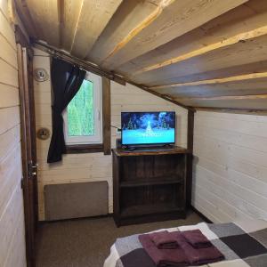 a small room with a tv in a tiny house at Family Plai in Yaremche