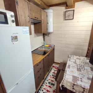 a small kitchen with a refrigerator and a sink at Family Plai in Yaremche