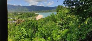 a view of a beach in the middle of a forest at Jungle Glamping Tent Two in Maluk