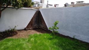 una pared de ladrillo con un pequeño árbol en un patio en El Esparragal Santa Clara del Mar en Santa Clara del Mar