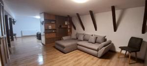 a living room with a couch and a chair at GM 15 Apartments in Sibiu