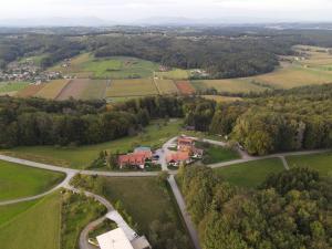 an aerial view of a house in a field at Ferienwohnung am Trausdorfberg - Rosenblick in Goggitsch in Steiermark