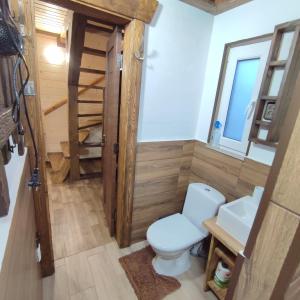 a bathroom with a toilet and a sink at Family Plai in Yaremche