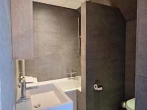 een badkamer met een witte wastafel en een toilet bij Hoeve Montigny B&B in Giethoorn