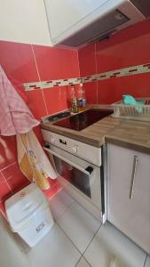 uma pequena cozinha com paredes vermelhas e um lavatório em My grandma's apartment (Skopje center) em Skopje