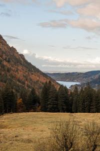 a field with trees and a lake in the distance at Apartment Entspannung - mitten im Ski- und Wandergebiet Spitzingsee in Schliersee