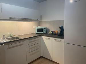 uma cozinha com armários brancos, um lavatório e um micro-ondas em Le gîte de l ill proche Strasbourg em Ostwald
