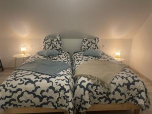 two beds sitting next to each other in a room at Le gîte de l ill proche Strasbourg in Ostwald