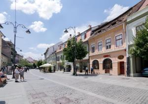 シビウにあるFolkloric loft - Ulita Romaneasca (brown)の街歩き人通り