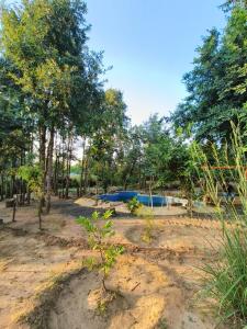 eine Gruppe von Bäumen und ein blauer Pool im Schmutz in der Unterkunft Surwahi Social Ecoestate Kanha in Kanha