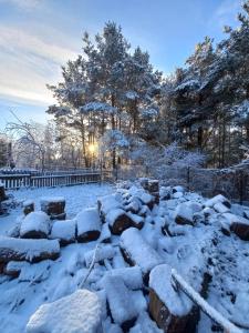 een sneeuwbedekte tuin met rotsen en bomen bij Agroturystyka Leśny Oddech Bory Tucholskie in Bysław