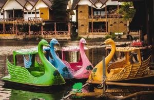Aquapark v hotelu nebo okolí