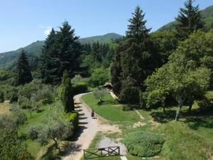 un camino sinuoso a través de un bosque con montañas en el fondo en casa marconi, en Vetriano